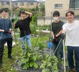 野菜作りの写真です